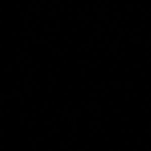 Meet your Posher, Camille